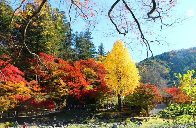 秋の香嵐渓