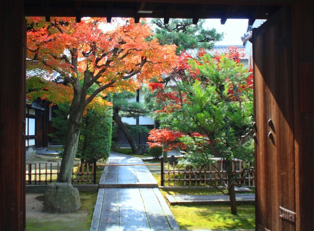 秋の東福寺