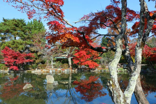 秋の高台寺