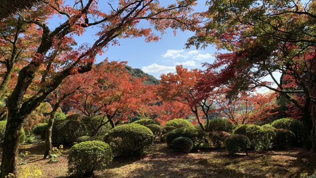 九年庵の紅葉