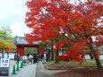 秋の平等院