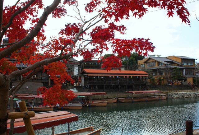 秋の宇治川