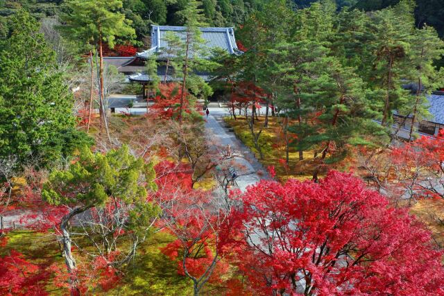 秋の南禅寺