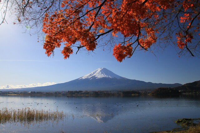 紅葉と逆さ富士