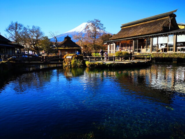 秋の忍野八海