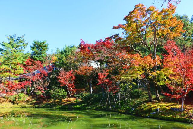 秋の高台寺