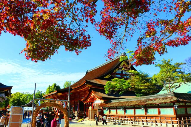 秋の八坂神社