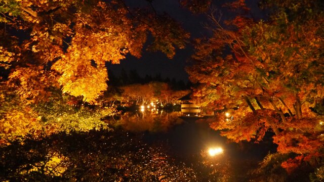 秋の夜散歩