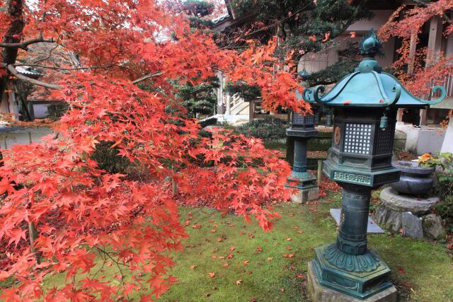 法泉寺の紅葉