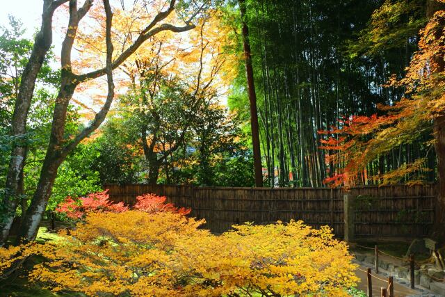 秋の銀閣寺