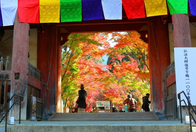 秋の醍醐寺