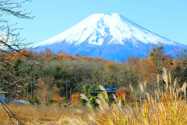 秋の忍野八海