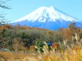 秋の忍野八海