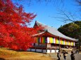 秋の醍醐寺