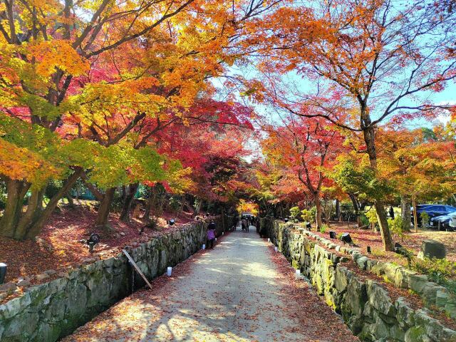 秋の興聖寺