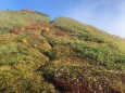 天狗原山にて