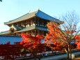 秋の東大寺