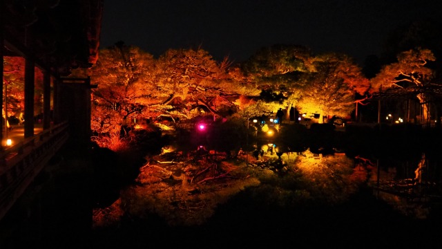 秋の夜の平安神宮