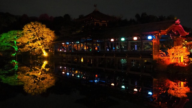 秋の夜の平安神宮