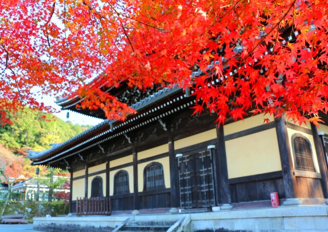 秋の南禅寺