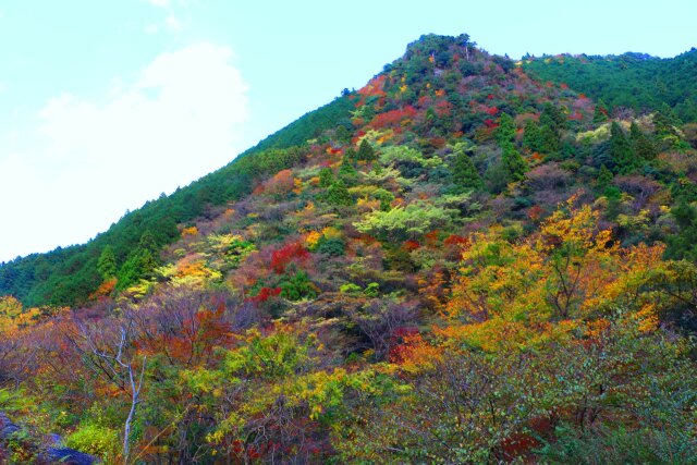 東紀州秋の八幡峠