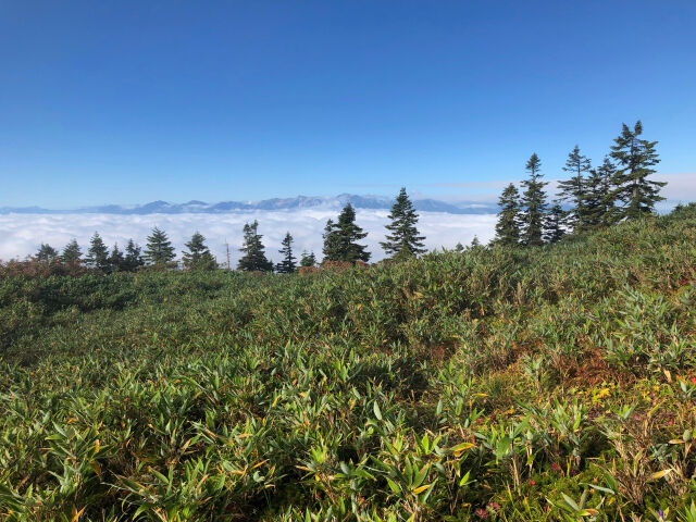 天狗原山にて