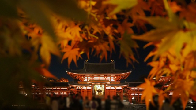 秋の夜の平等院鳳凰堂