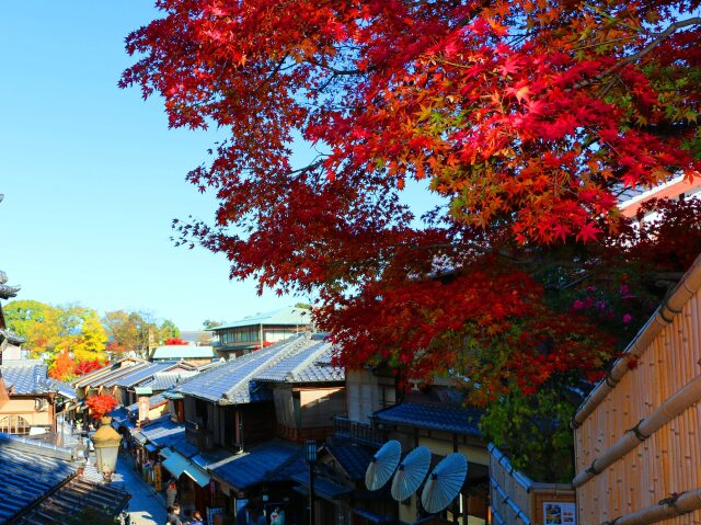 秋の京都