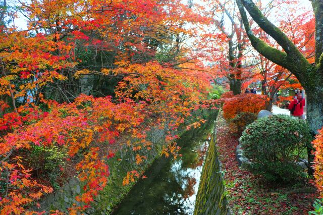 秋の哲学の道