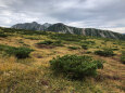 五色ヶ原からの立山