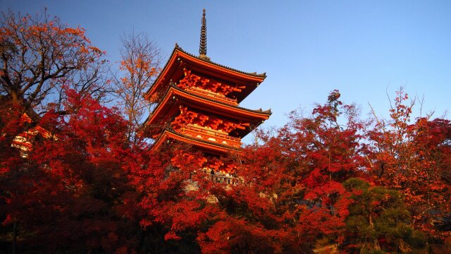 秋の清水寺