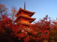 秋の清水寺