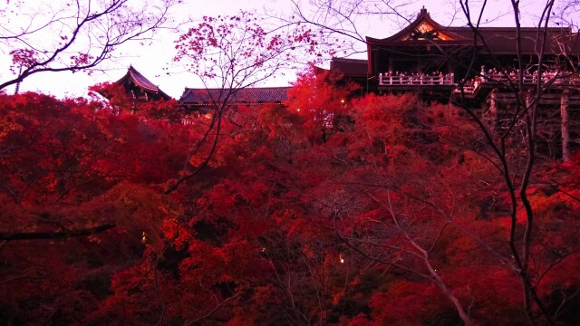 秋の清水寺