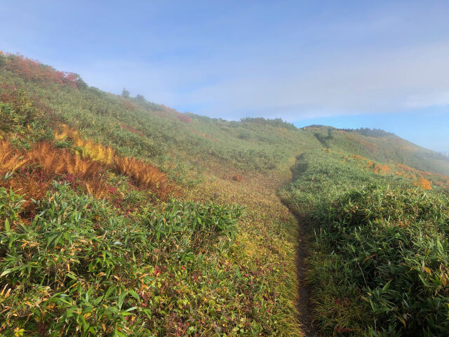 天狗原山を行く