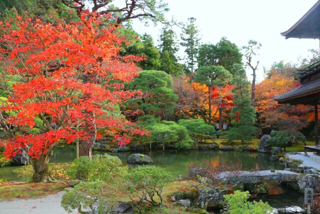 銀閣寺庭園