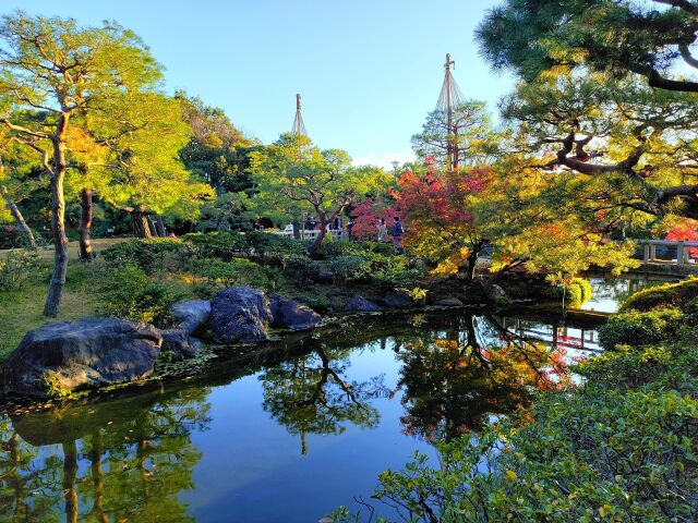 初冬の白鳥庭園