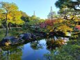 初冬の白鳥庭園