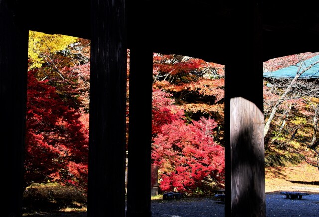 霊松寺