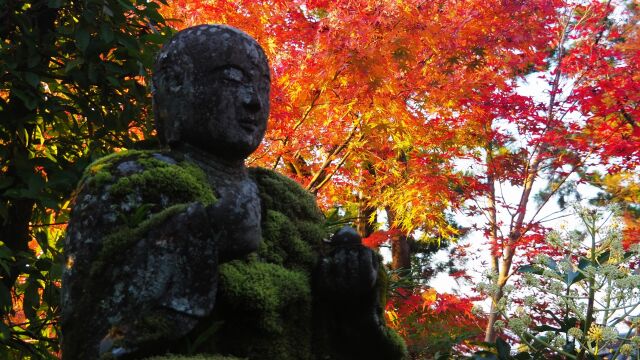 秋の永観堂