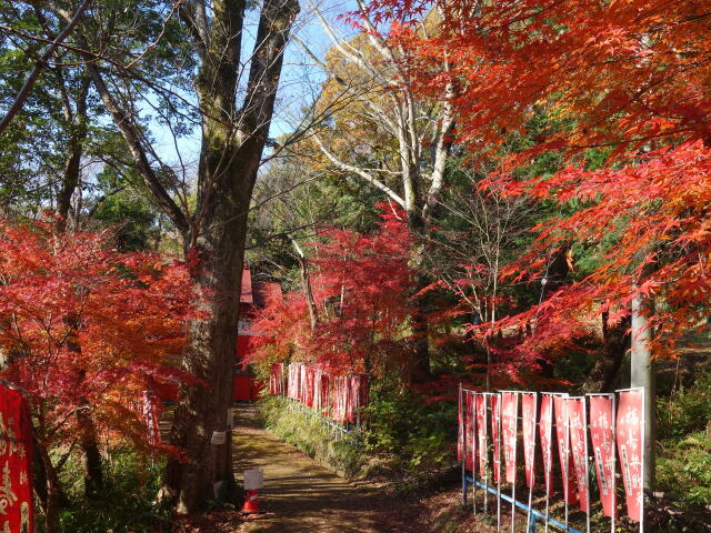 紅葉の秦野福寿弁財天社