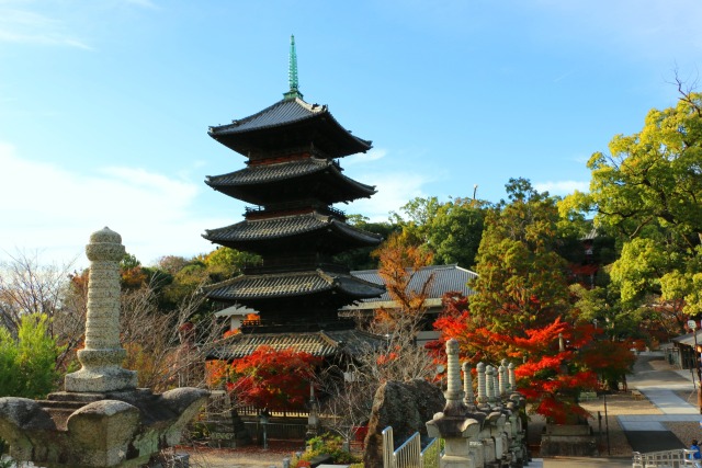 初冬の名古屋興正寺