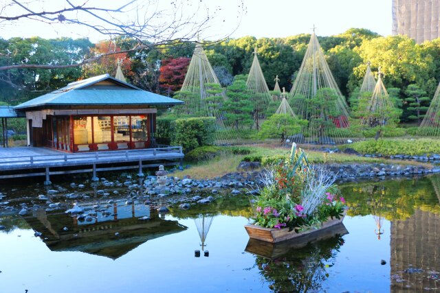 初冬の白鳥庭園