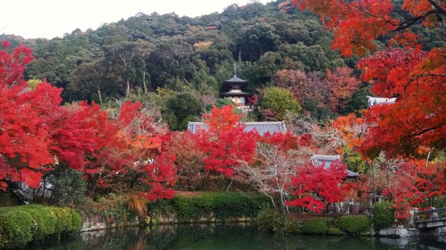 秋の永観堂