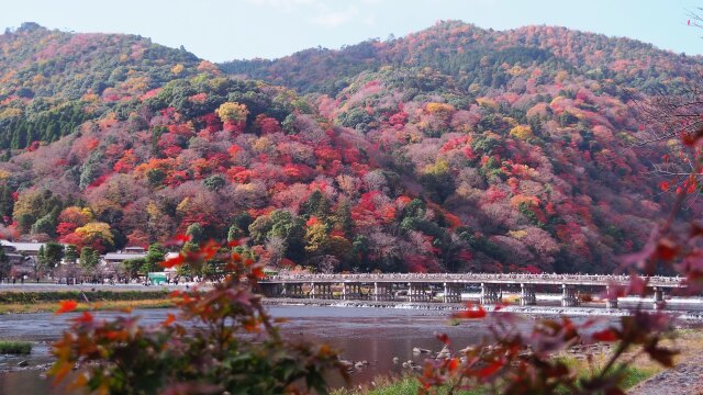 秋の嵐山