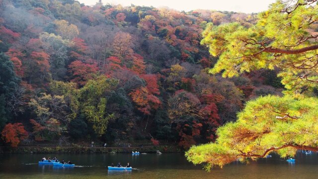 秋の嵐山