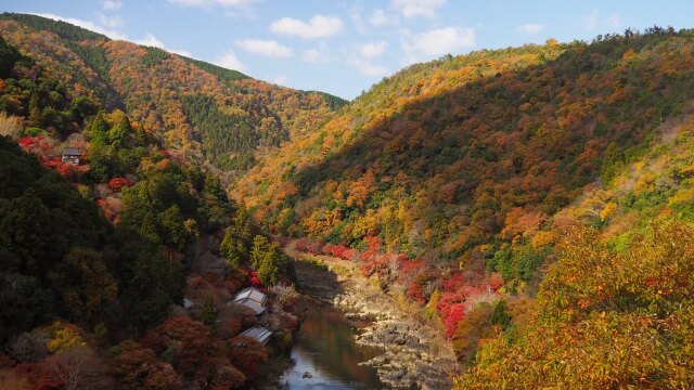 秋の嵐山