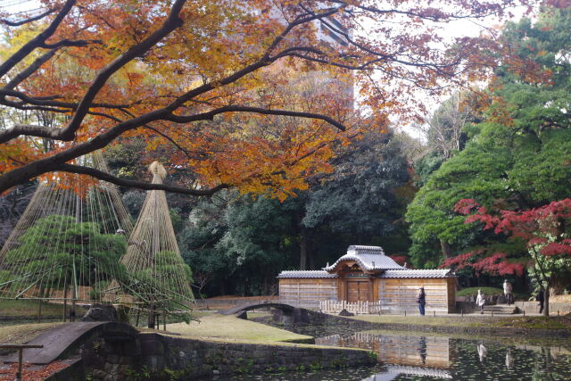 小石川後楽園 内庭と唐門