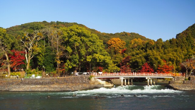 秋の宇治公園