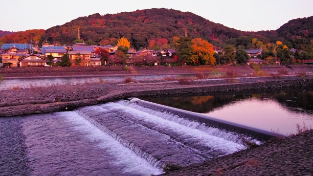 秋の宇治公園