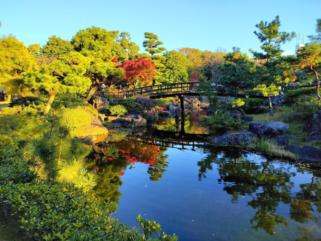 初冬の白鳥庭園